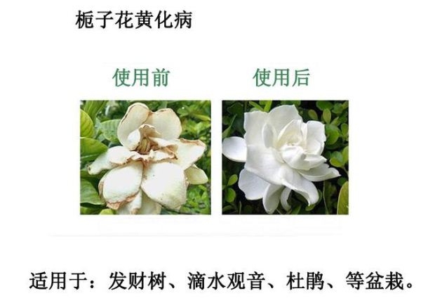 ���၆�F�����ЙC���ڻ����ϵ�Ч��չ�F(xi��n)��������Ϣ����ԃ13838587319