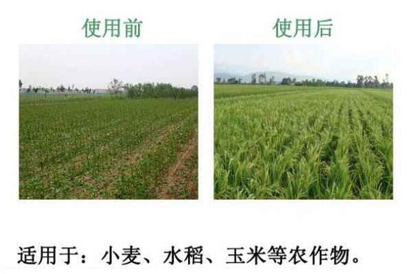 С��ʹ�������r�I(y��)�����၆�F�������������r��ԃ13838587319